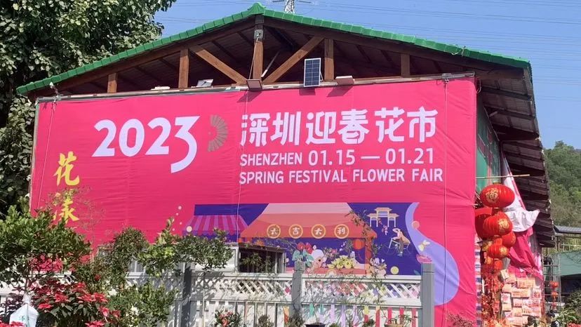 2023深圳迎春花市时间定了！