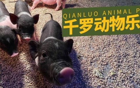 【光明·亲子】原生态亲子乐园！79元抢『千罗动物乐园』单人票；还有99元双人票和159元三人票可选，与萌宠0距离接触，畅玩一整天！
