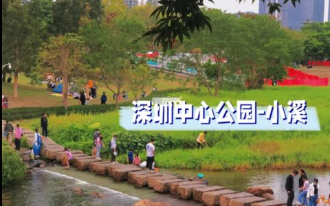 消耗小朋友精力｜深圳中心公园｜小溪