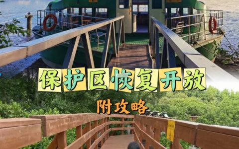 终于等到了！内伶仃福田保护区恢复开放～
