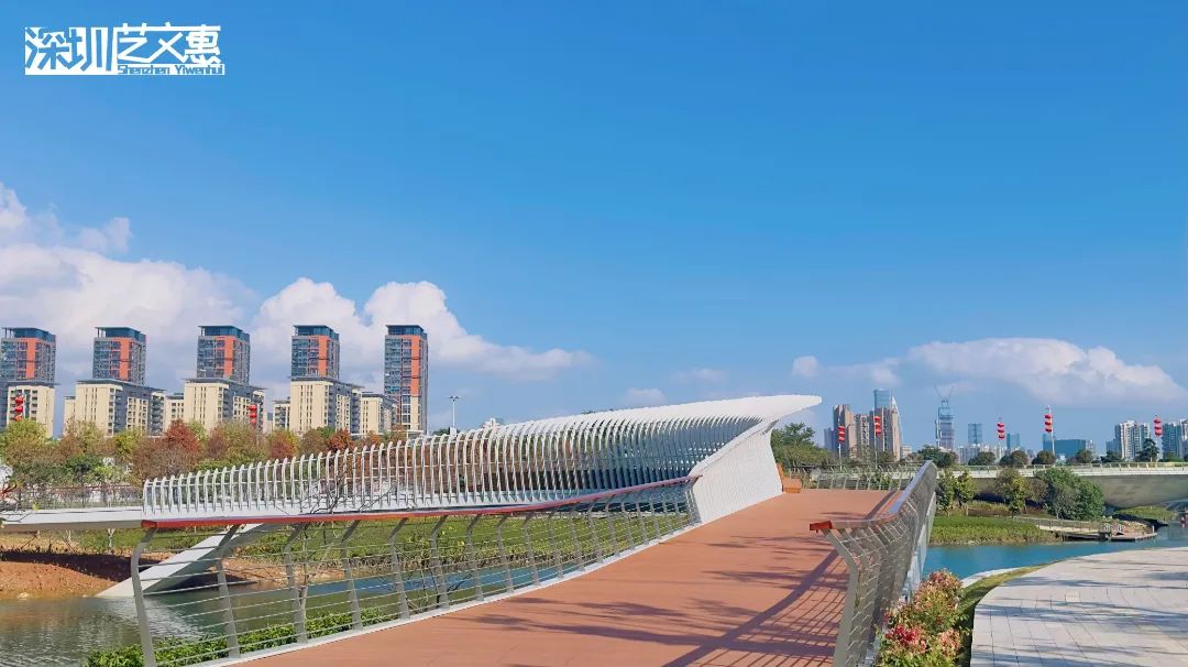 前海这个“网红公园”又上新啦！快来打卡“飘在河上的桥”吧~