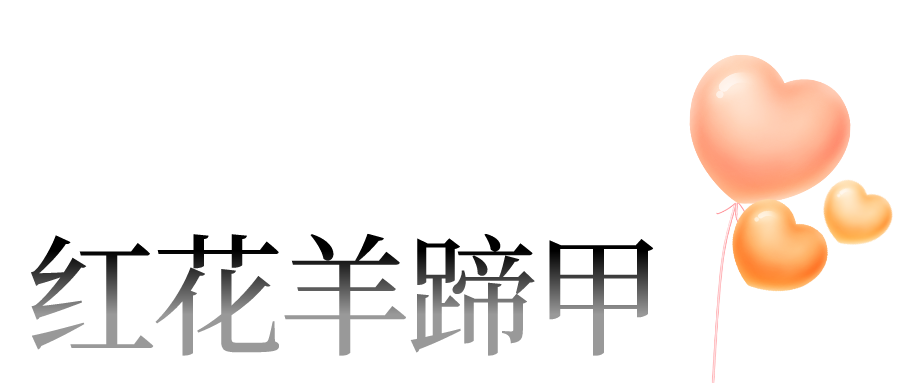 2月花历 | 春日花开好，浪漫在公园