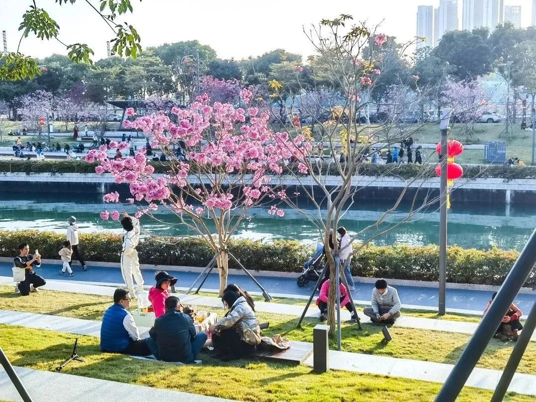 走！周末去这个儿童友好公园赏超美花海