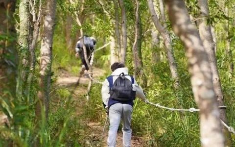 82.2公里远足径郊野径贯通！10条马峦山绝美步道值得推荐→