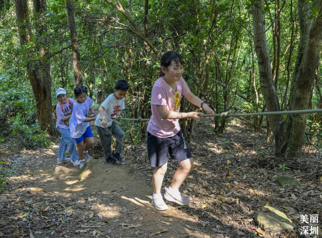 穿行“山海”逛深圳① | 新增248公里远足径郊野径，深圳“新户外天堂”来了！