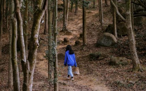 深圳极少人知道的“原始登山道”，太太太好爬了...