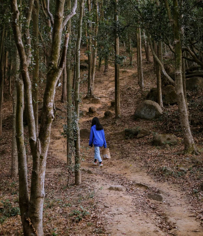 深圳极少人知道的“原始登山道”，太太太好爬了...