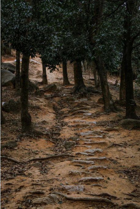 深圳极少人知道的“原始登山道”，太太太好爬了...