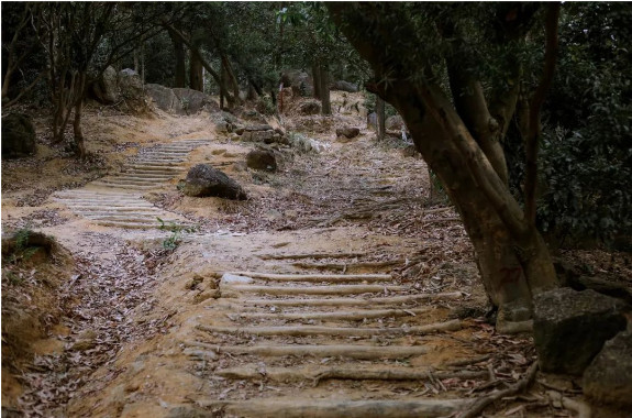 深圳极少人知道的“原始登山道”，太太太好爬了...