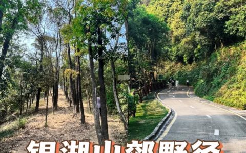 深圳周末徒步|银湖山郊野径|体验魔鬼VS天使