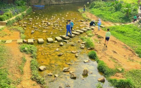 深圳市区｜露营｜玩水捞鱼｜骑行｜免费宝藏公园