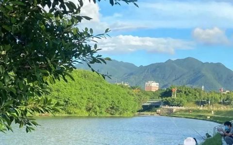 春日出游，来坪山这些地方打卡~~