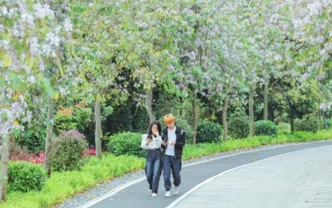 @深圳人，这个城市型森林公园“上新”啦~