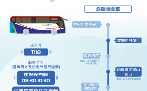 T118坝光亲海专线开通啦~