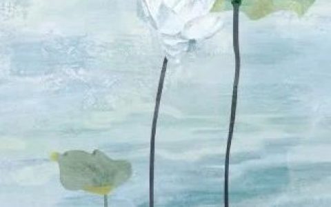 【深图艺苑】沙里淘晶——经典民乐赏析“民歌风专场音乐会”