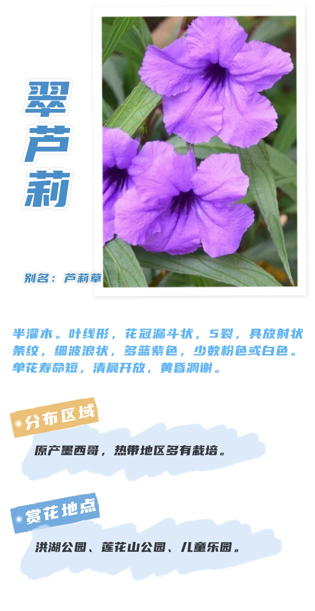 8月花历 | Parkwalk：用脚步感受深圳公园里的鸟语花香