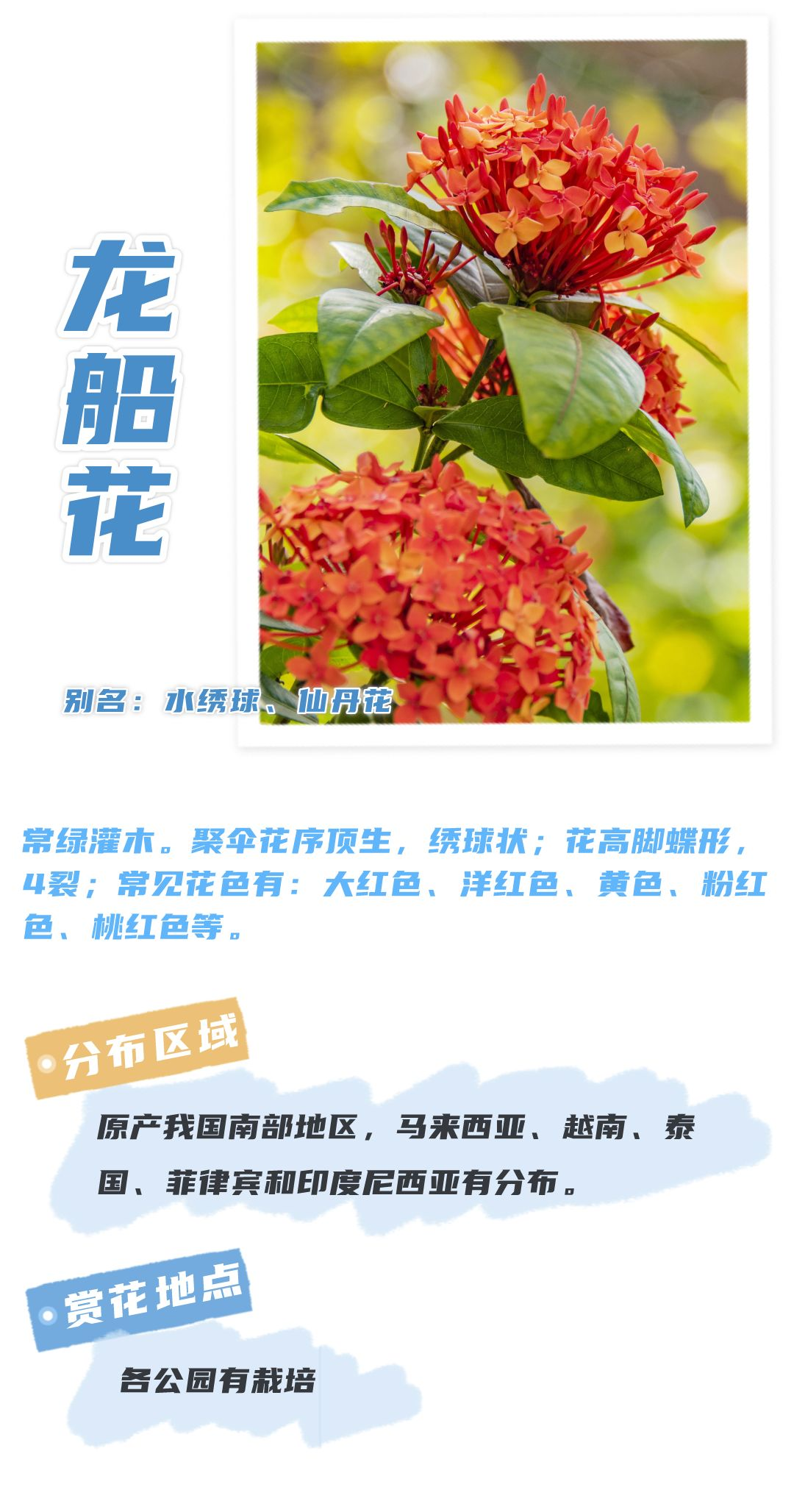 8月花历 | Parkwalk：用脚步感受深圳公园里的鸟语花香