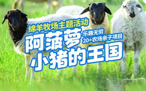 【宝安·亲子】双十一特惠！49.9元享108元『阿菠萝小猪的王国』亲子套票；还有11.11元盲盒抽奖
