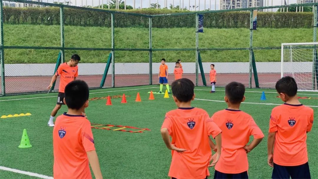 【免费报名】深圳大运中心第二期体育公益培训来啦，今晚开启报名！
