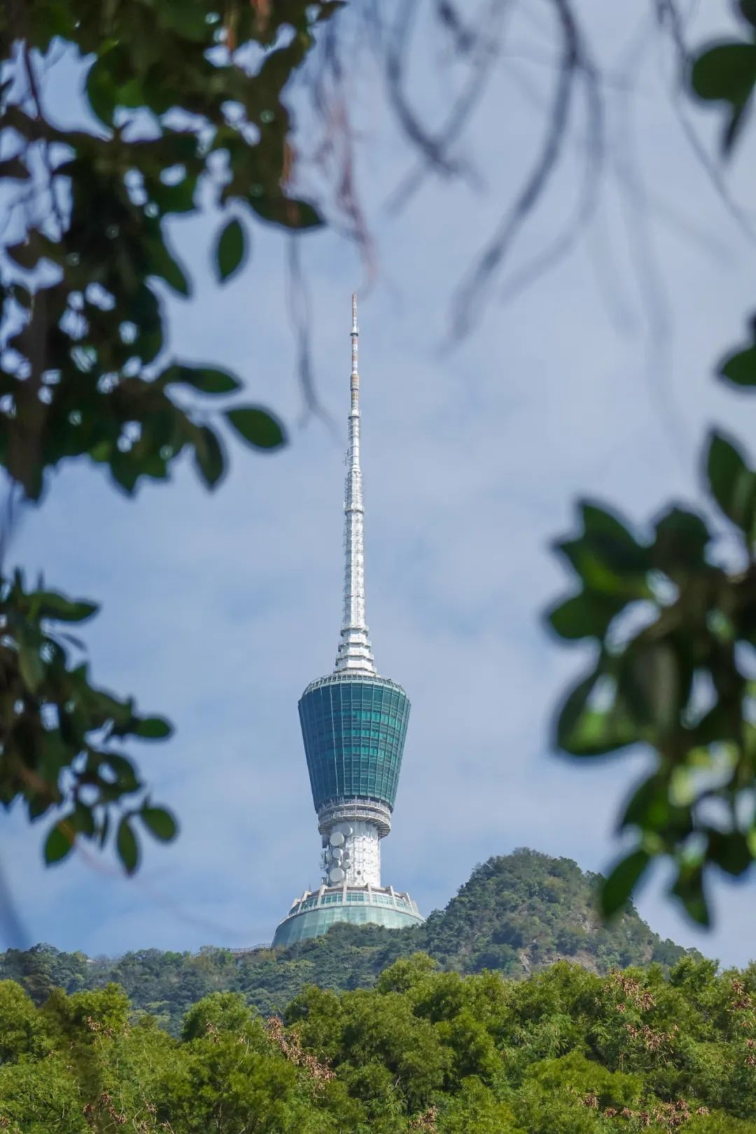 重阳节登高，这里风景独好！内附详细攻略→