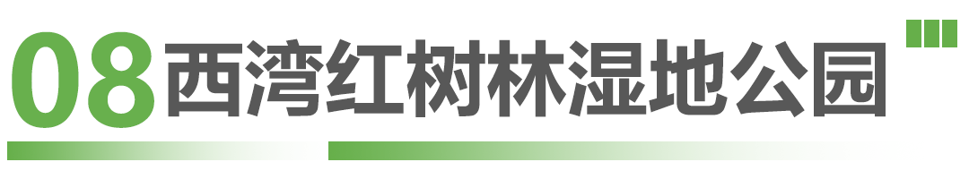 这些候鸟精灵抵深了，观鸟指南奉上！