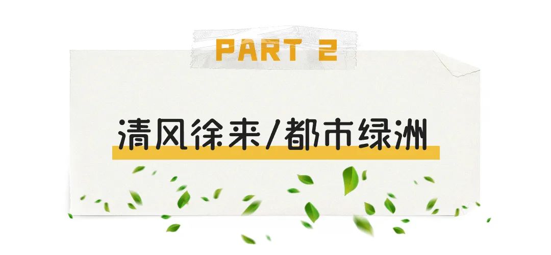 绿道欢乐跑 | 与秋色撞个满怀，这些“宝藏”绿道，约吗？