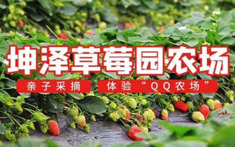 【深圳光明·亲子】39.9元抢『坤泽草莓园农场』2大2小入园门票：现场采摘，赠送1斤草莓，与小羊、兔子等萌宠近距离接触…尽享田园生活~