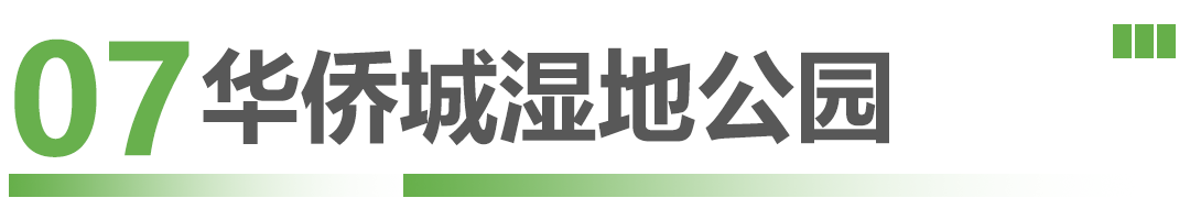 这些候鸟精灵抵深了，观鸟指南奉上！