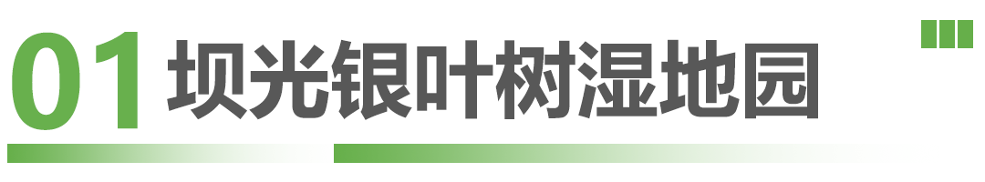 这些候鸟精灵抵深了，观鸟指南奉上！