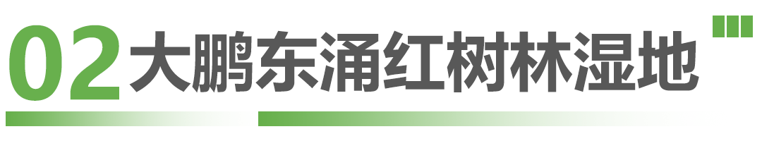 这些候鸟精灵抵深了，观鸟指南奉上！