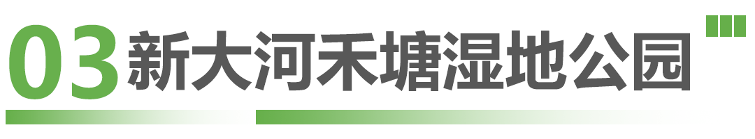 这些候鸟精灵抵深了，观鸟指南奉上！