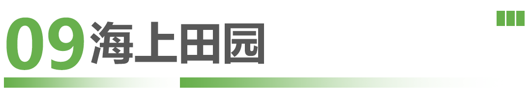 这些候鸟精灵抵深了，观鸟指南奉上！