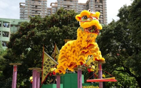 2023年“黄连胜杯”中国龙狮公开赛周日开赛！