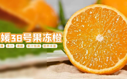 【全国包邮】35.8元抢『爱媛38号果冻橙』大果5斤装；49.8元=8斤大果；皮薄，多汁，清甜！