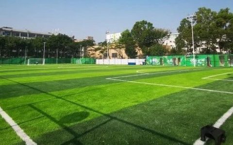 元旦来运动！龙岗区这些体育场馆免费开放↓