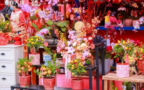 「迎春花市」限时开放！去看舞狮、皮影戏、财神爷巡游......
