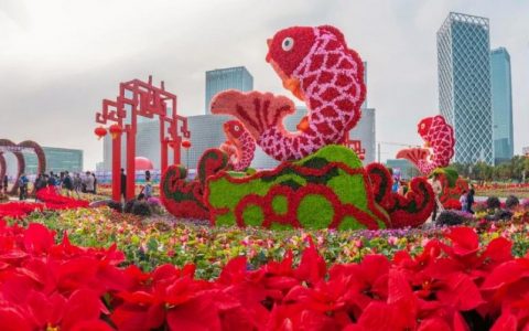 2024年深圳迎春花市，最新消息！
