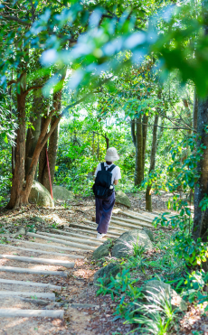 Five-Parks Walk! 五园连通徒步攻略来了！