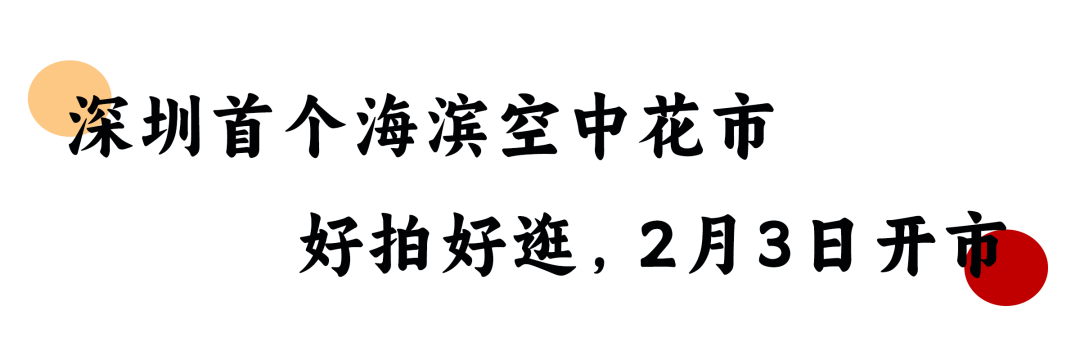 来看宝安的“繁花”！新春廊桥花市与你相约