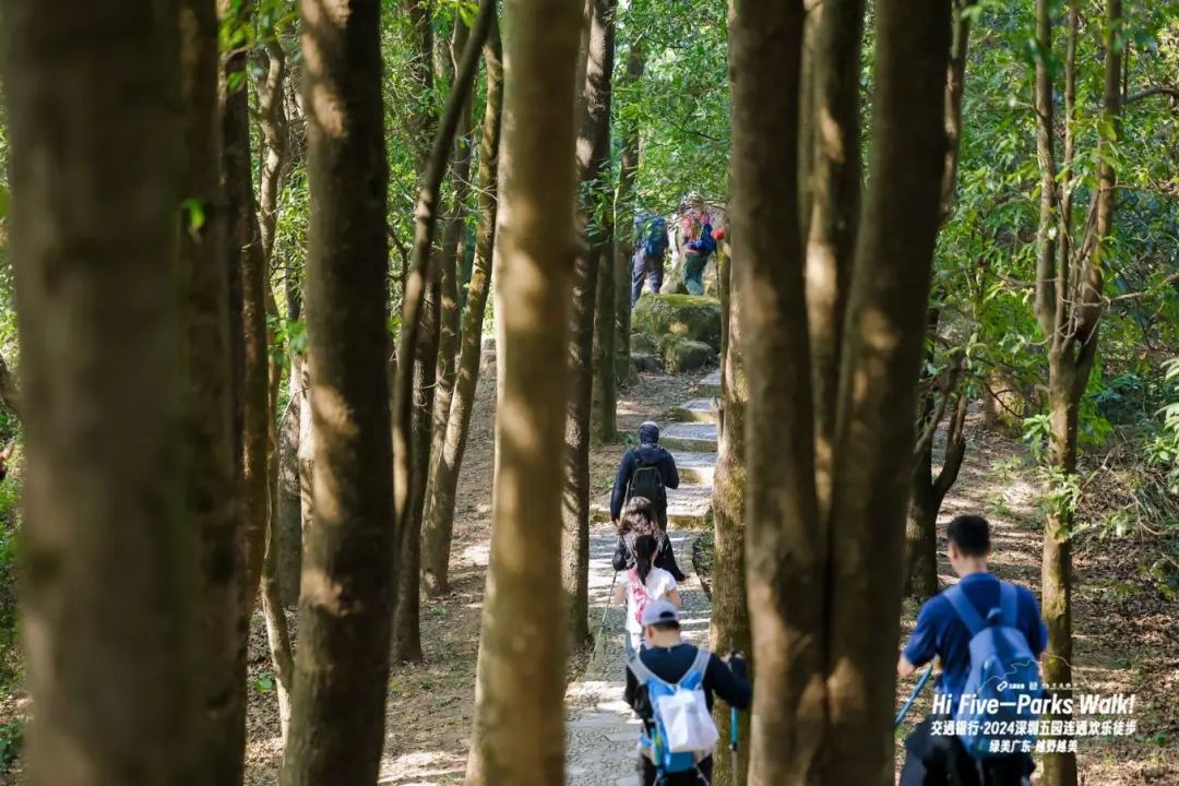 Five-Parks Walk! 五园连通徒步攻略来了！