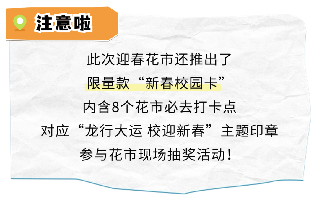 无需预约，迎春花市期间可直接入校参观！打卡攻略看这里→