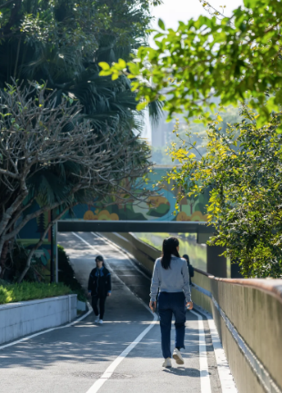 Five-Parks Walk! 五园连通徒步攻略来了！