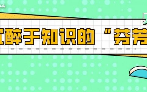 快来龙华“青年夜校”开启精彩夜生活！