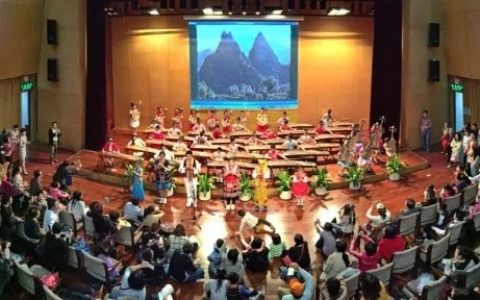 【深图艺苑】沙里淘晶——经典民乐赏析：乐享元宵音乐会