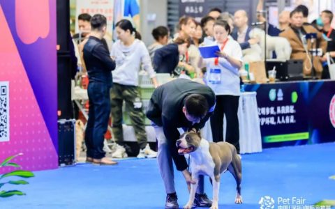 第11届深圳国际宠物展即将开幕！