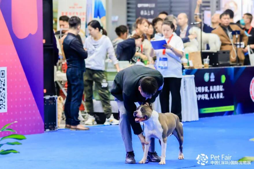 第11届深圳国际宠物展即将开幕！
