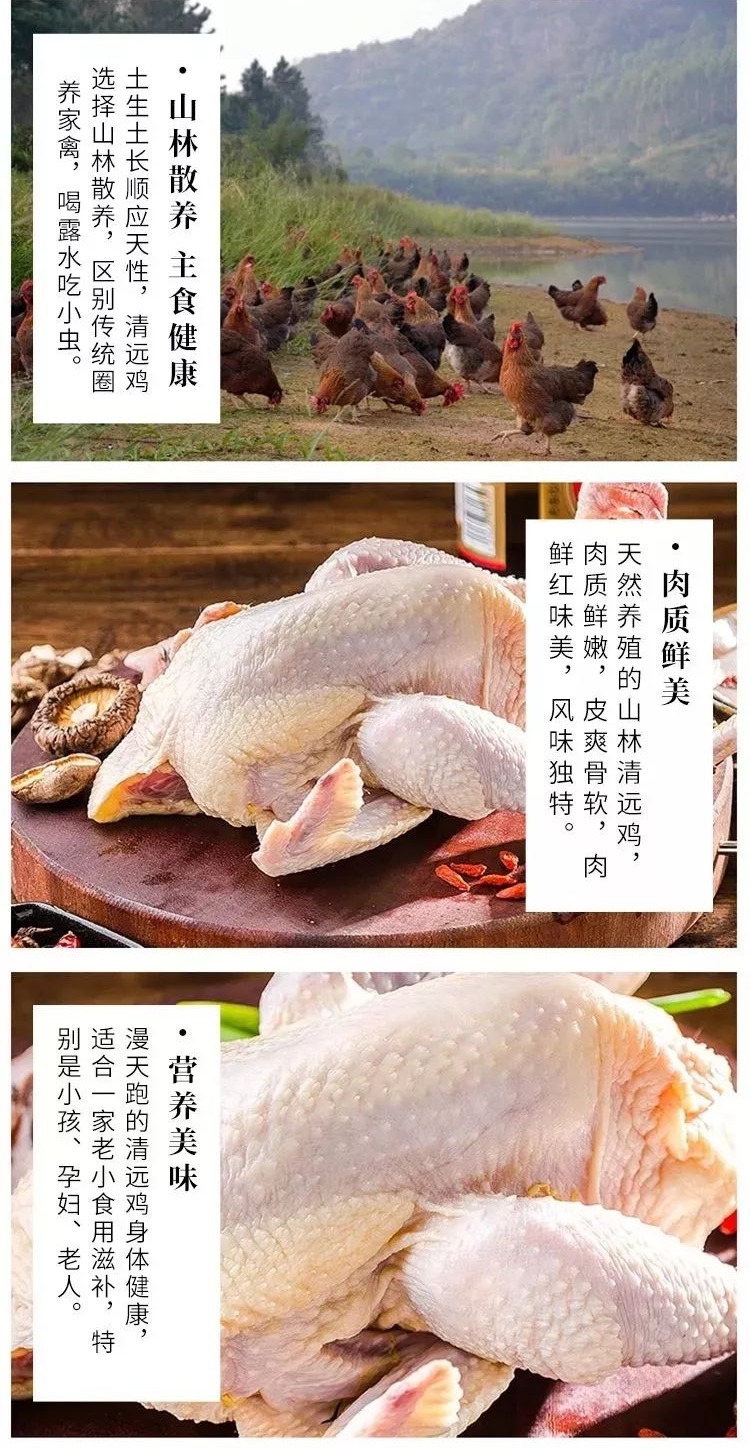 【广东省内顺丰包邮】肉质鲜香有嚼劲！99元抢酥到骨头里的清远走地鸡2只！