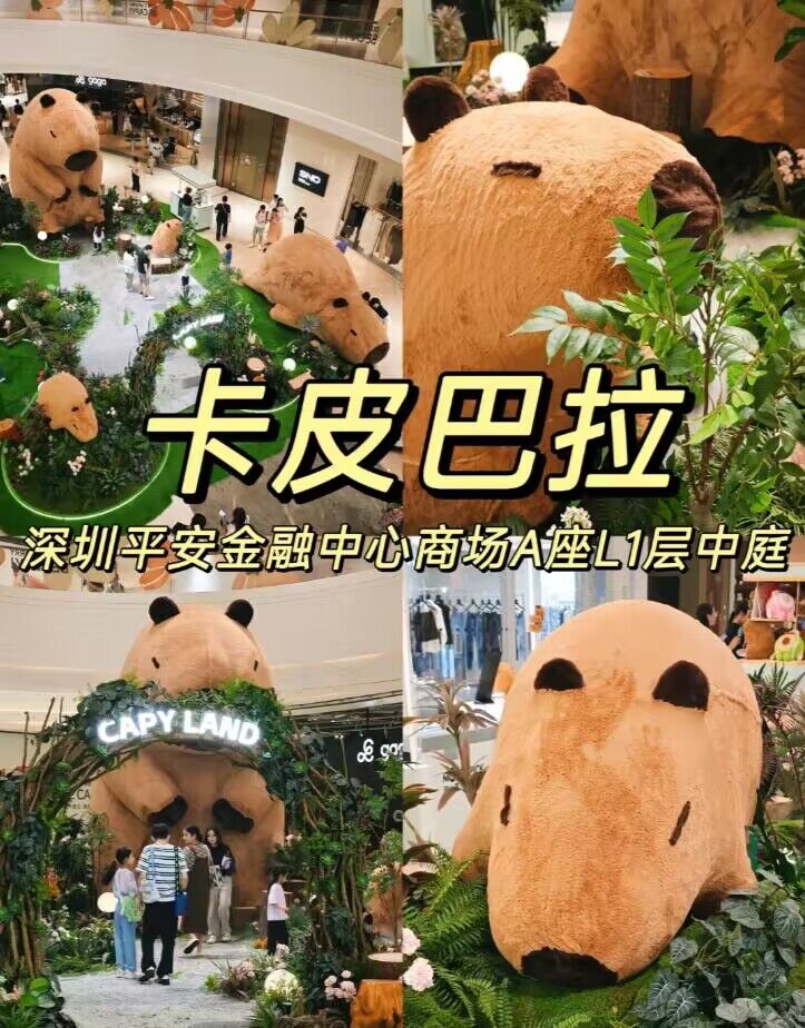 深圳平安金融中心超大卡皮巴拉，免费参观，快来打卡！