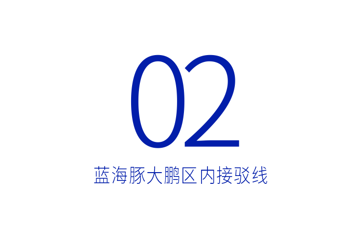 这个“五一”，坐上“红胖子”“蓝海豚”，来大鹏发呆吧~