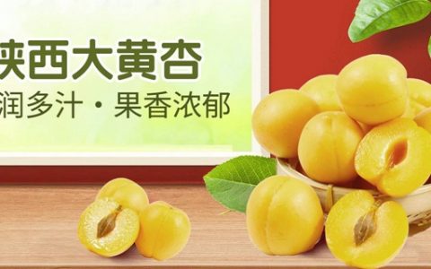 【全国包邮】产地直供！29.9元抢『陕西大黄杏』4斤托盘装（单果约45g）；水润多汁、果香浓郁！健康又营养，老少皆宜！